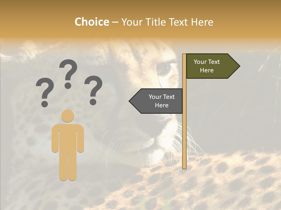 Fauna Animal Animales PowerPoint Template