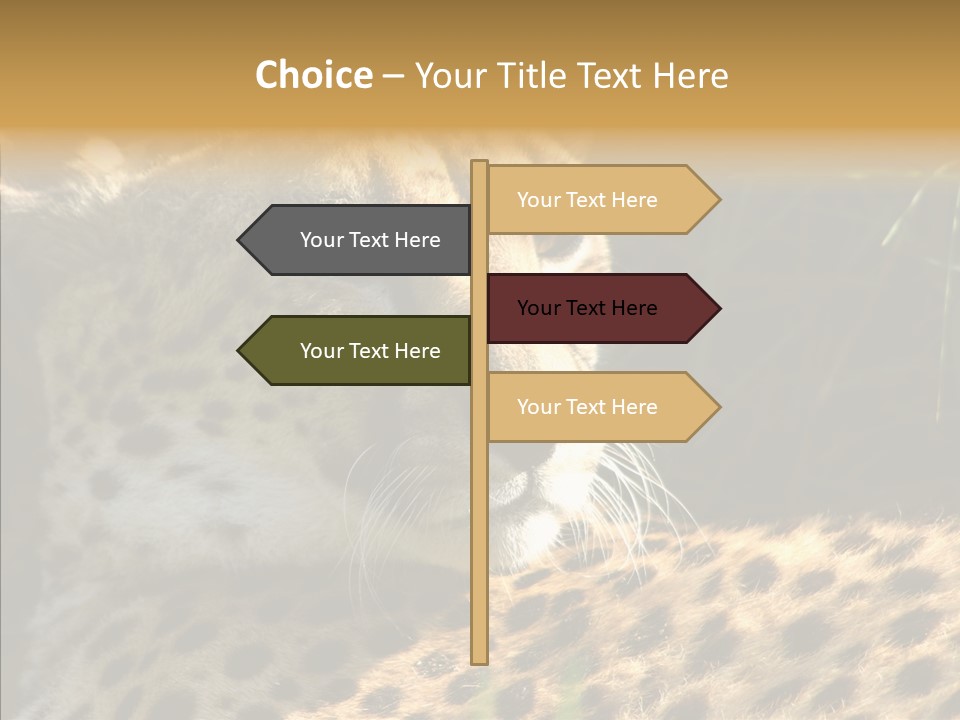 Fauna Animal Animales PowerPoint Template