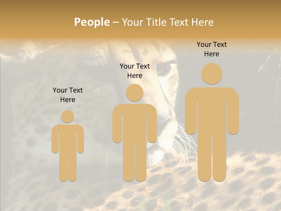 Fauna Animal Animales PowerPoint Template