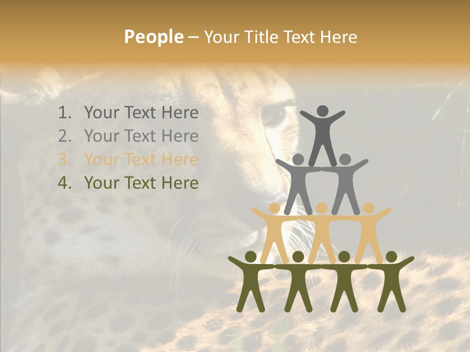 Fauna Animal Animales PowerPoint Template