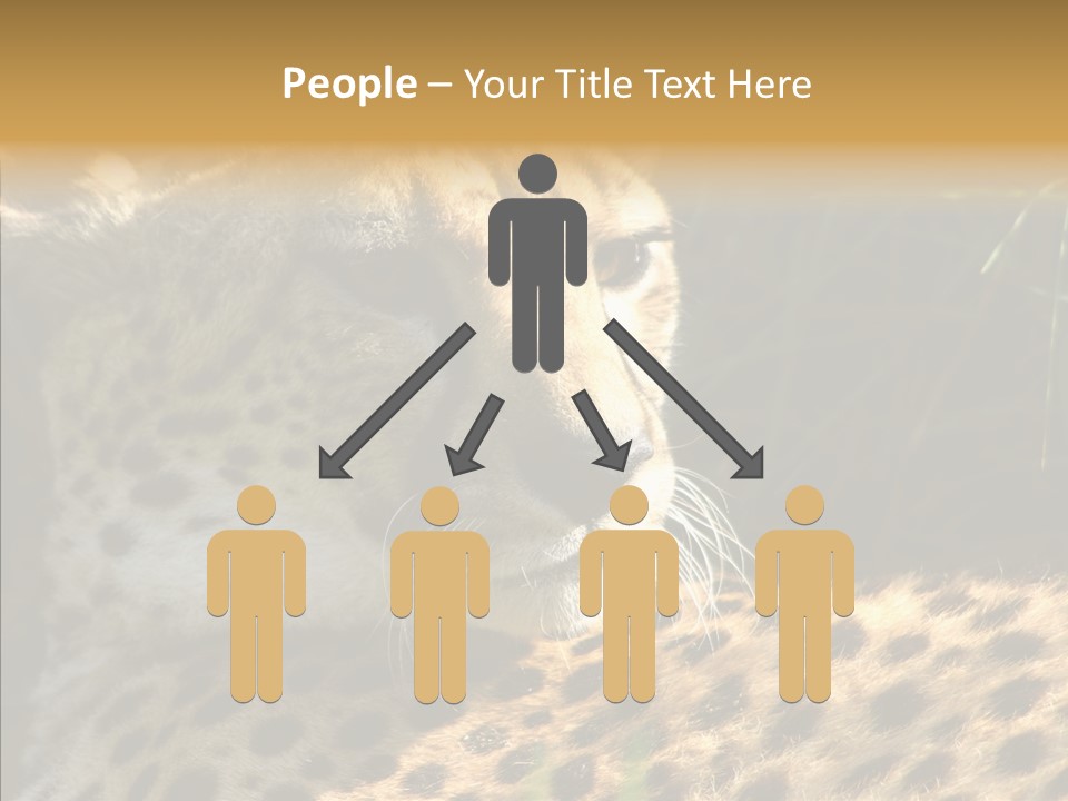 Fauna Animal Animales PowerPoint Template