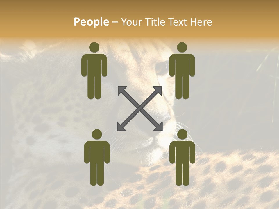 Fauna Animal Animales PowerPoint Template