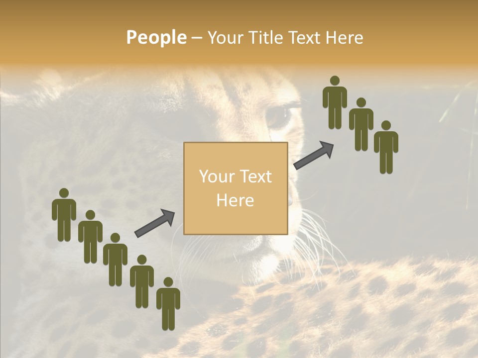 Fauna Animal Animales PowerPoint Template