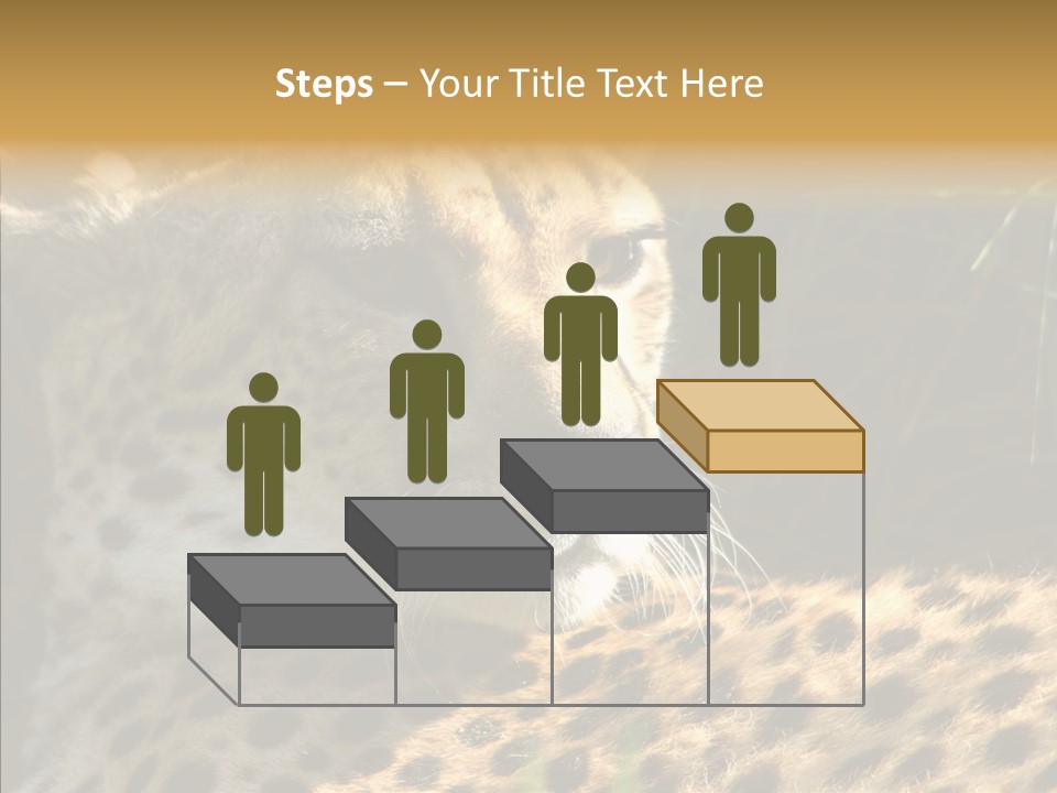 Fauna Animal Animales PowerPoint Template