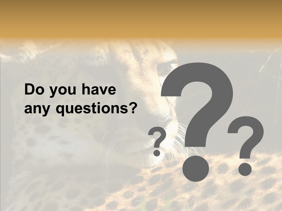 Fauna Animal Animales PowerPoint Template