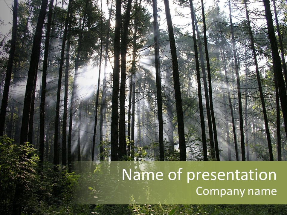 Landscape Shinning Wilderness PowerPoint Template