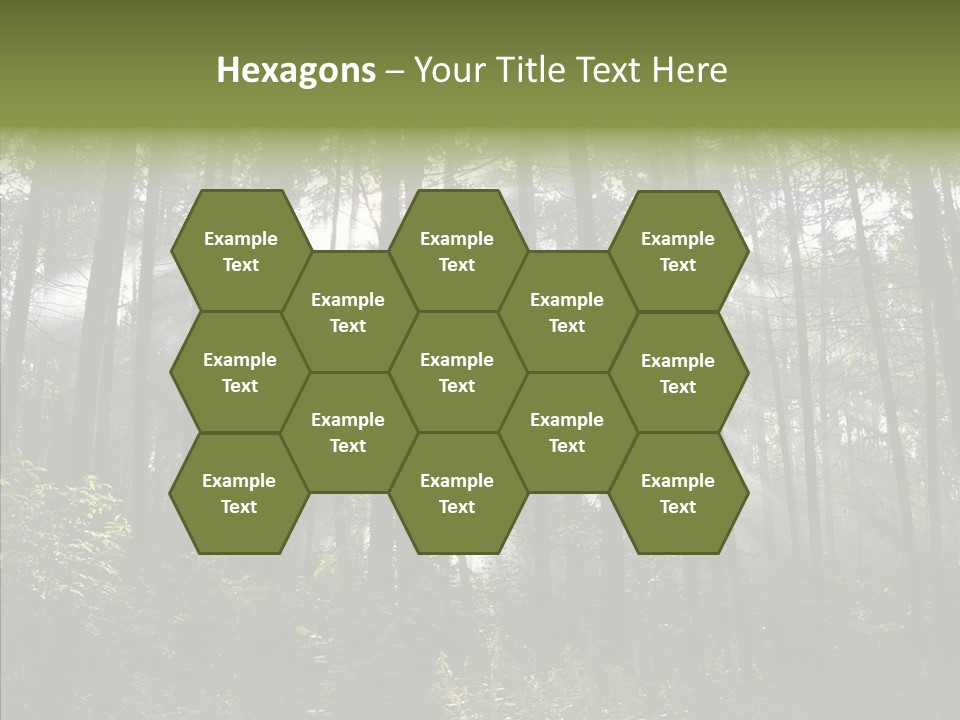 Landscape Shinning Wilderness PowerPoint Template