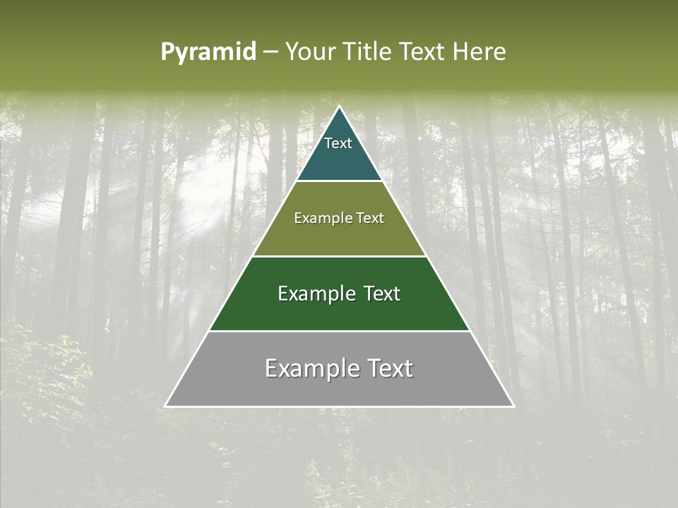 Landscape Shinning Wilderness PowerPoint Template