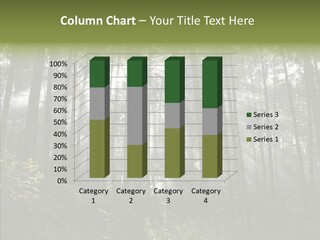 Landscape Shinning Wilderness PowerPoint Template