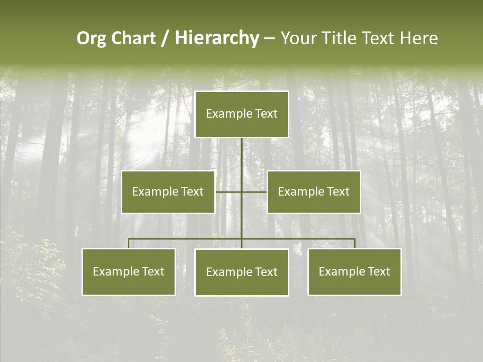 Landscape Shinning Wilderness PowerPoint Template