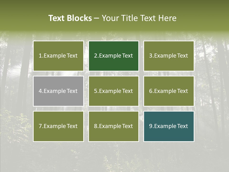 Landscape Shinning Wilderness PowerPoint Template