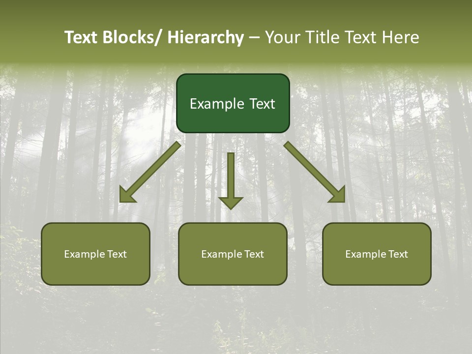 Landscape Shinning Wilderness PowerPoint Template