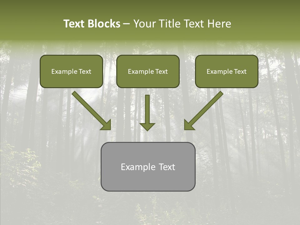Landscape Shinning Wilderness PowerPoint Template