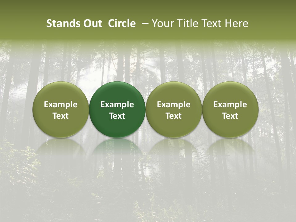 Landscape Shinning Wilderness PowerPoint Template