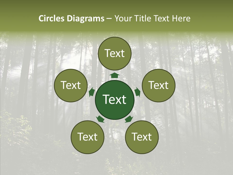 Landscape Shinning Wilderness PowerPoint Template