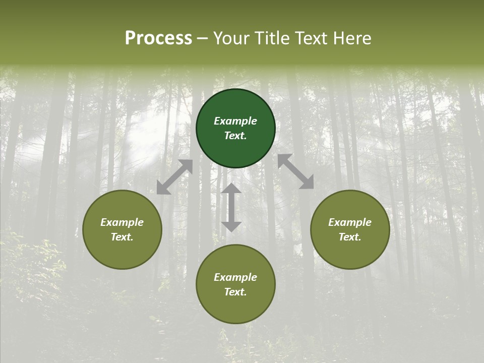 Landscape Shinning Wilderness PowerPoint Template