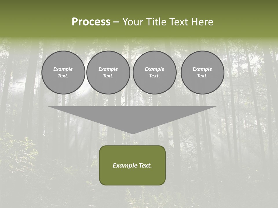 Landscape Shinning Wilderness PowerPoint Template