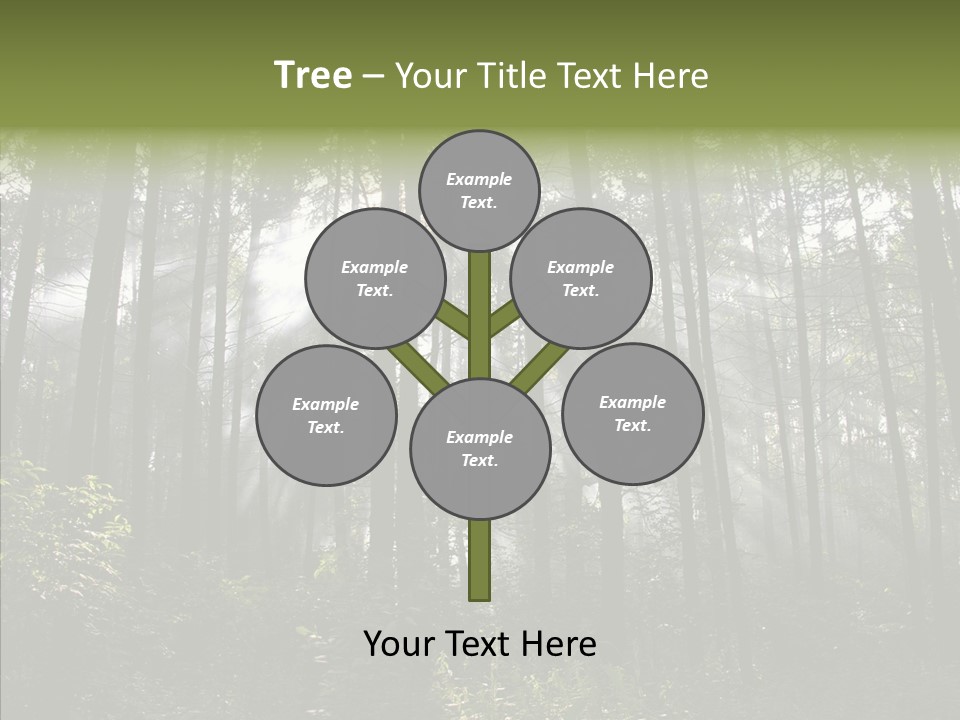 Landscape Shinning Wilderness PowerPoint Template