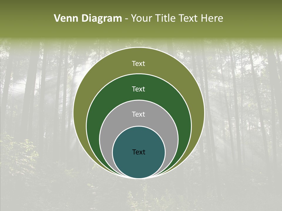 Landscape Shinning Wilderness PowerPoint Template