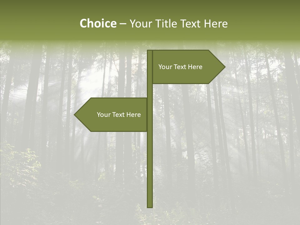 Landscape Shinning Wilderness PowerPoint Template