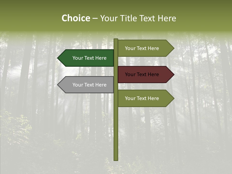 Landscape Shinning Wilderness PowerPoint Template