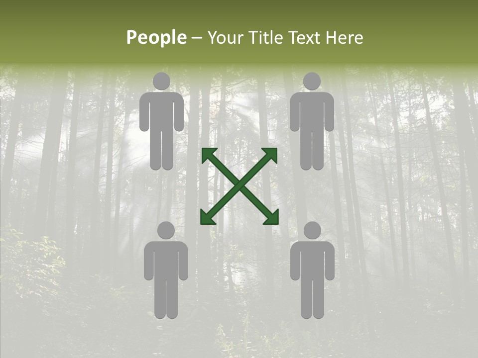 Landscape Shinning Wilderness PowerPoint Template