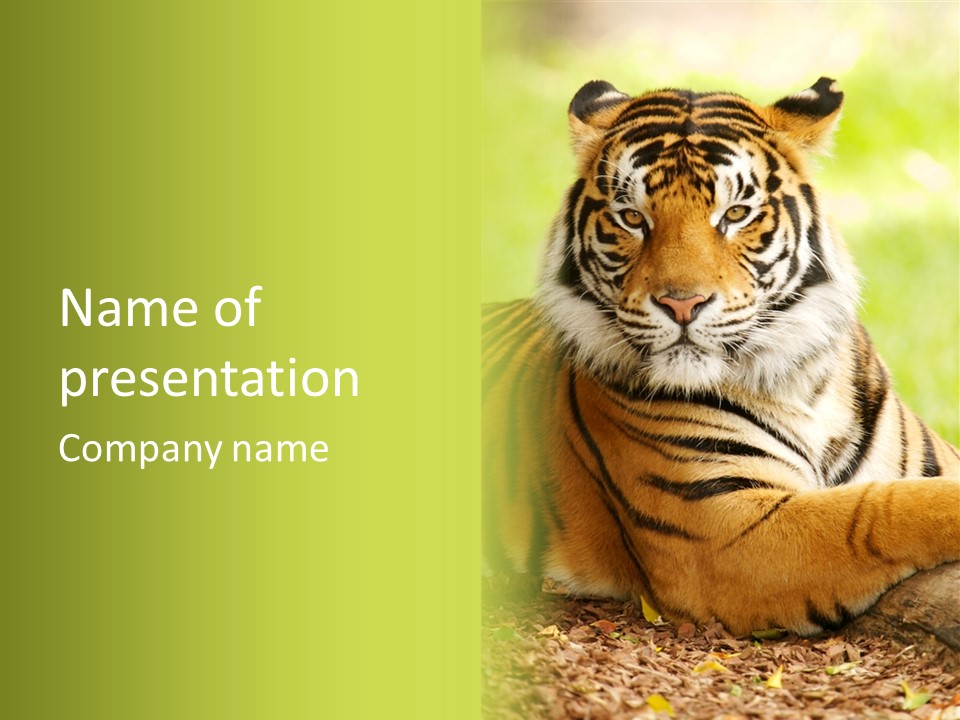 Nature Sub Tiger PowerPoint Template