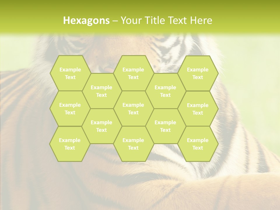 Nature Sub Tiger PowerPoint Template