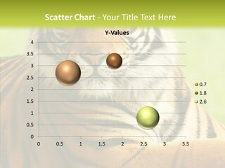 Nature Sub Tiger PowerPoint Template