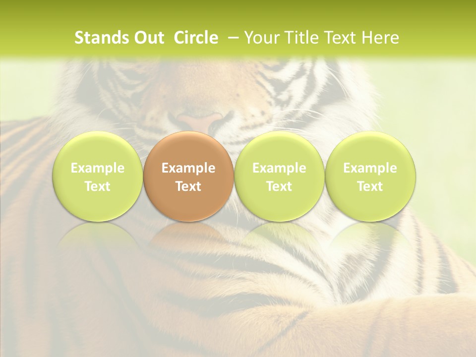 Nature Sub Tiger PowerPoint Template