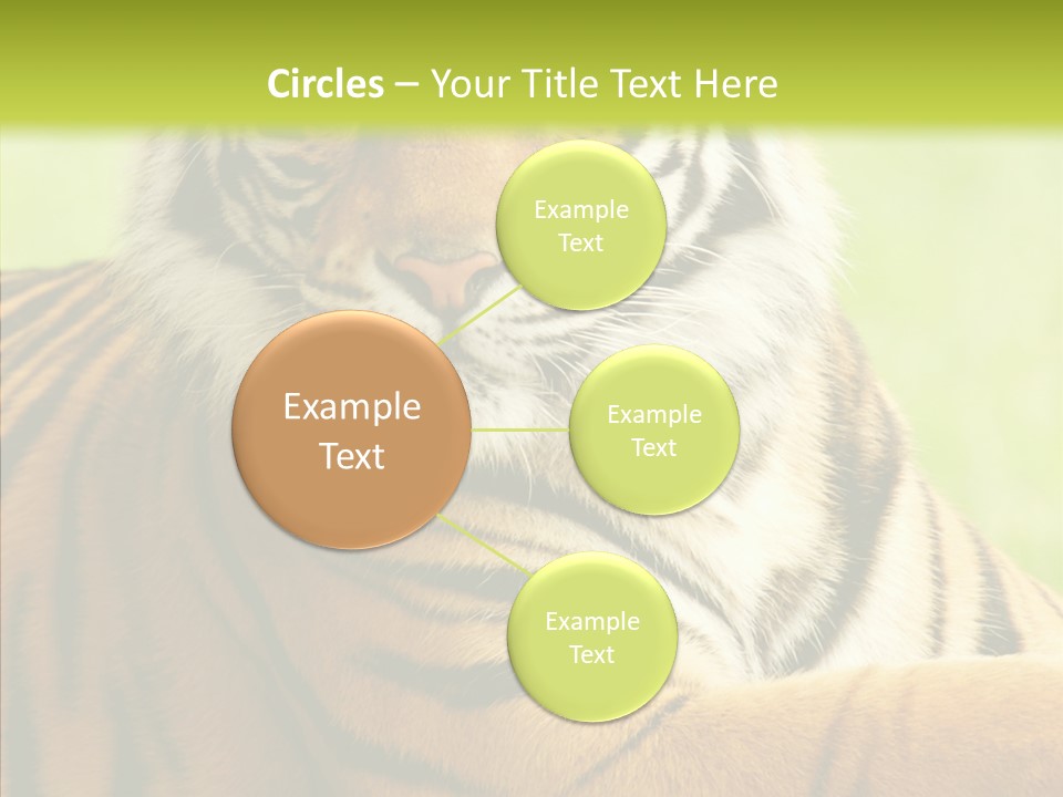 Nature Sub Tiger PowerPoint Template