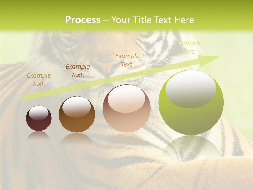 Nature Sub Tiger PowerPoint Template