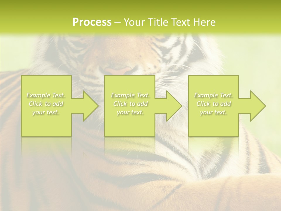 Nature Sub Tiger PowerPoint Template