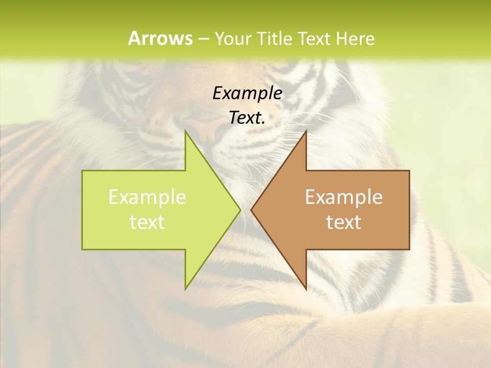 Nature Sub Tiger PowerPoint Template