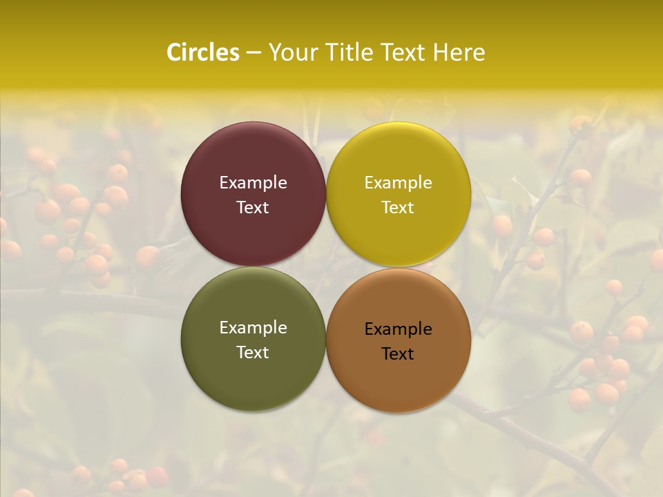 Bird Leaves Nature PowerPoint Template