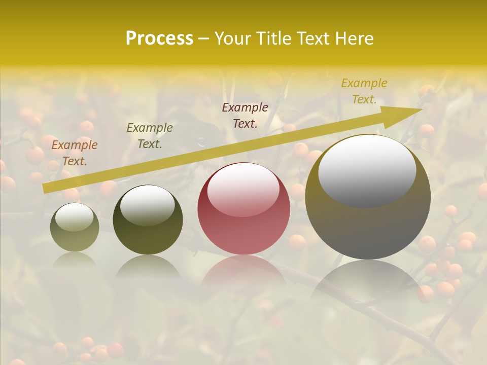 Bird Leaves Nature PowerPoint Template