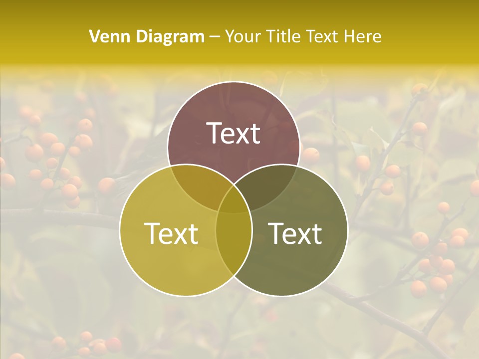 Bird Leaves Nature PowerPoint Template