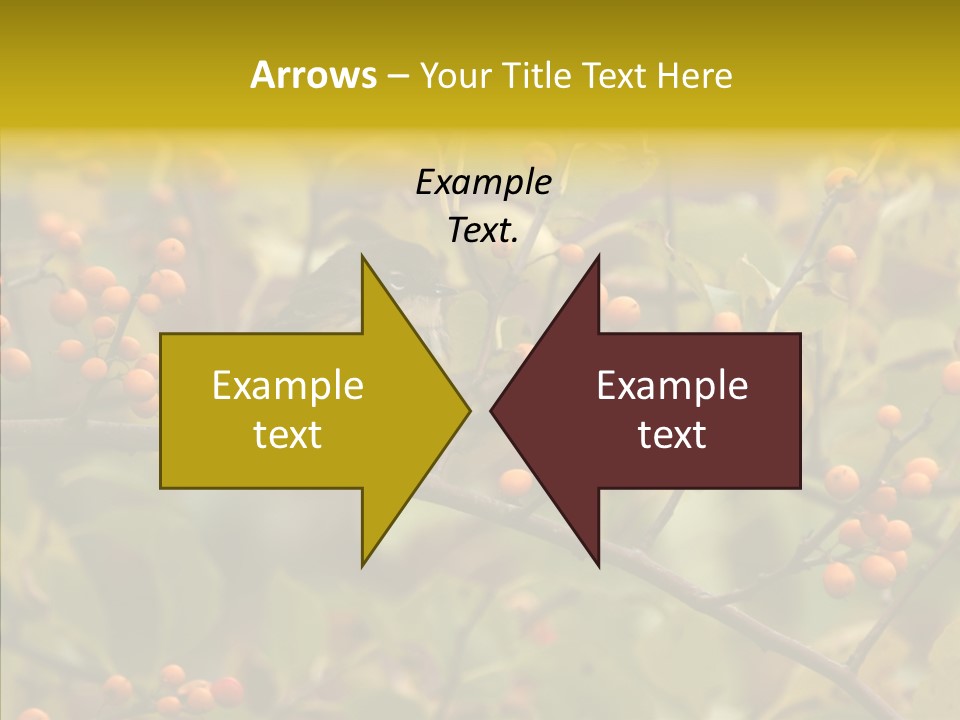 Bird Leaves Nature PowerPoint Template