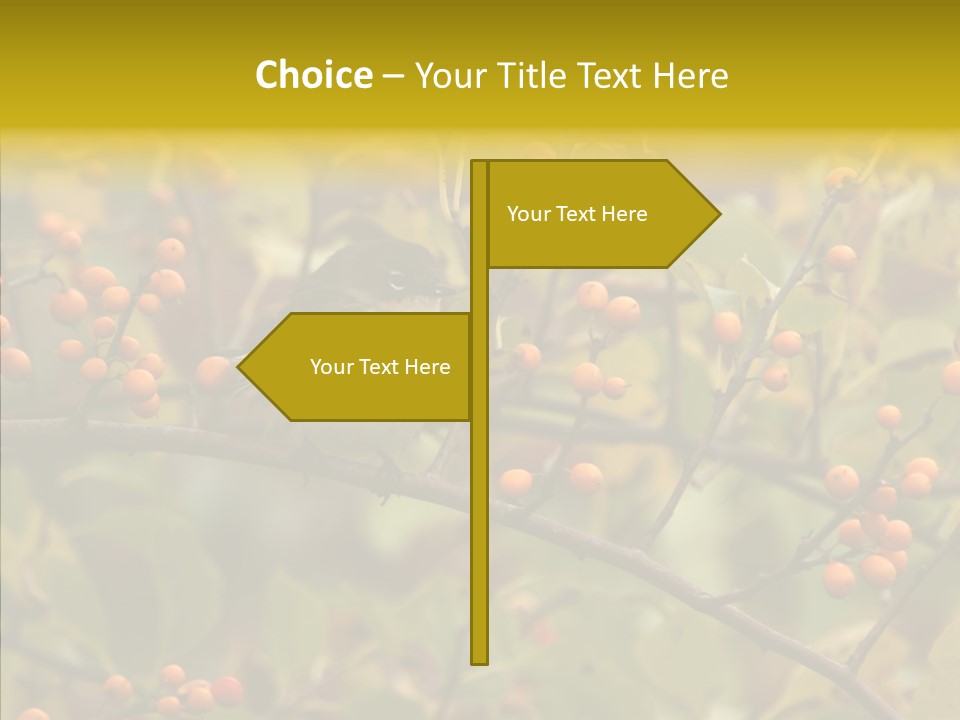 Bird Leaves Nature PowerPoint Template