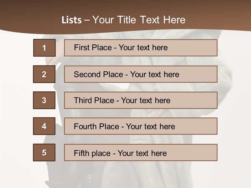 Beautiful Portrait Shoes PowerPoint Template