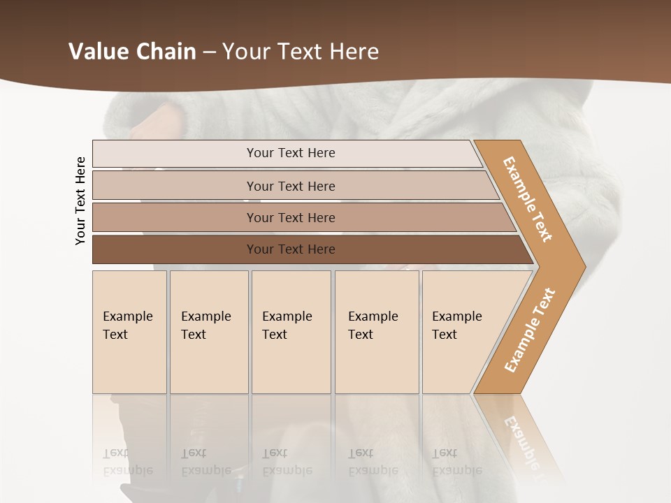 Beautiful Portrait Shoes PowerPoint Template