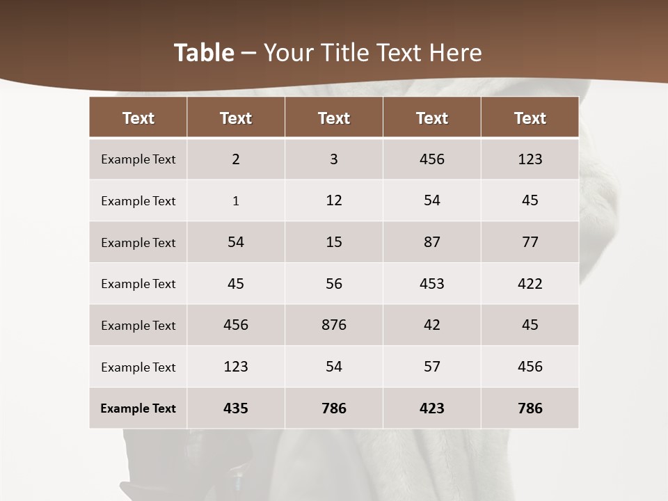 Beautiful Portrait Shoes PowerPoint Template