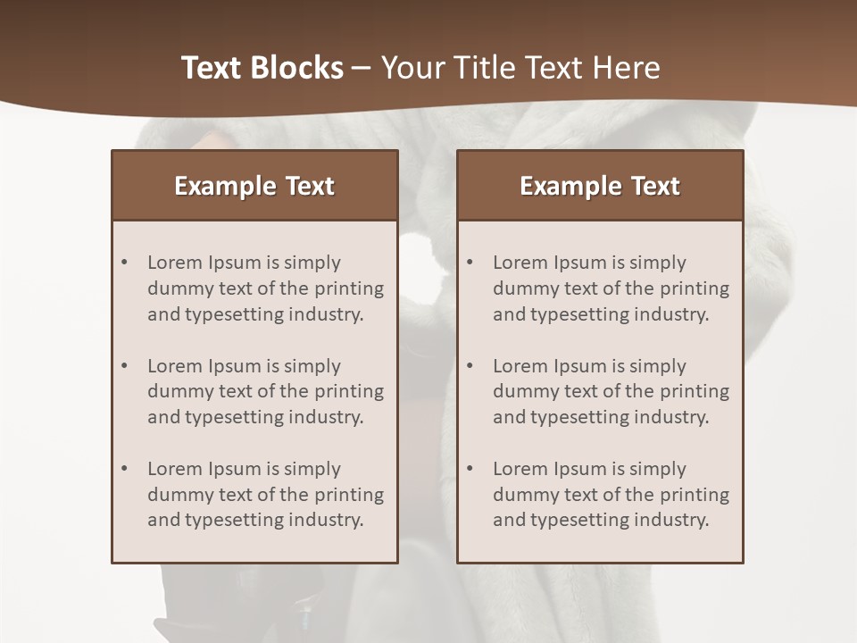 Beautiful Portrait Shoes PowerPoint Template