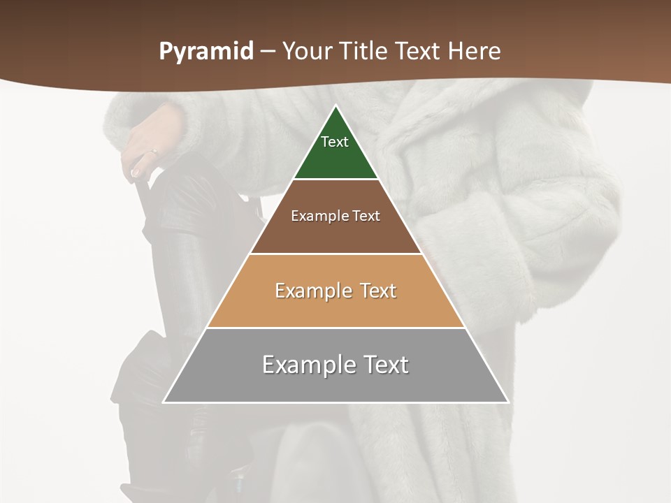 Beautiful Portrait Shoes PowerPoint Template