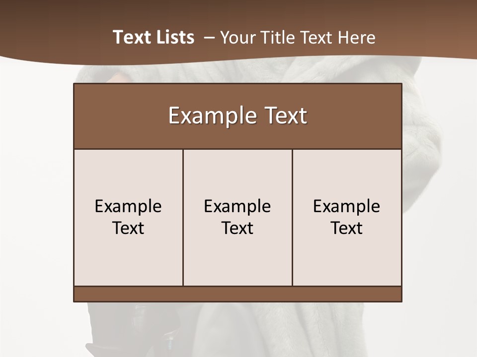 Beautiful Portrait Shoes PowerPoint Template