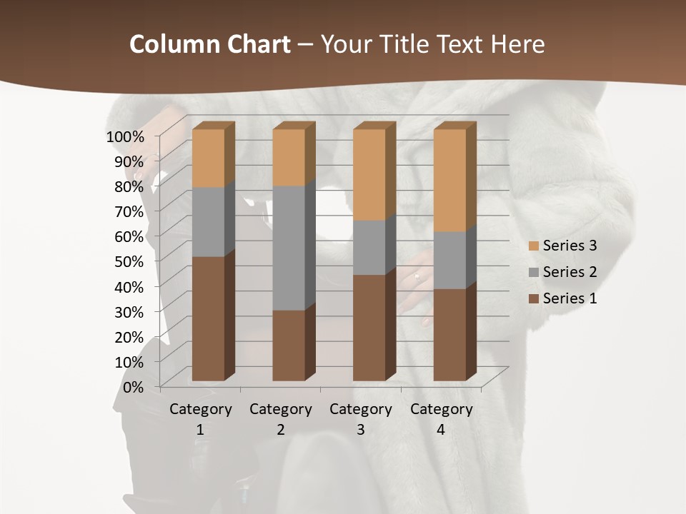 Beautiful Portrait Shoes PowerPoint Template