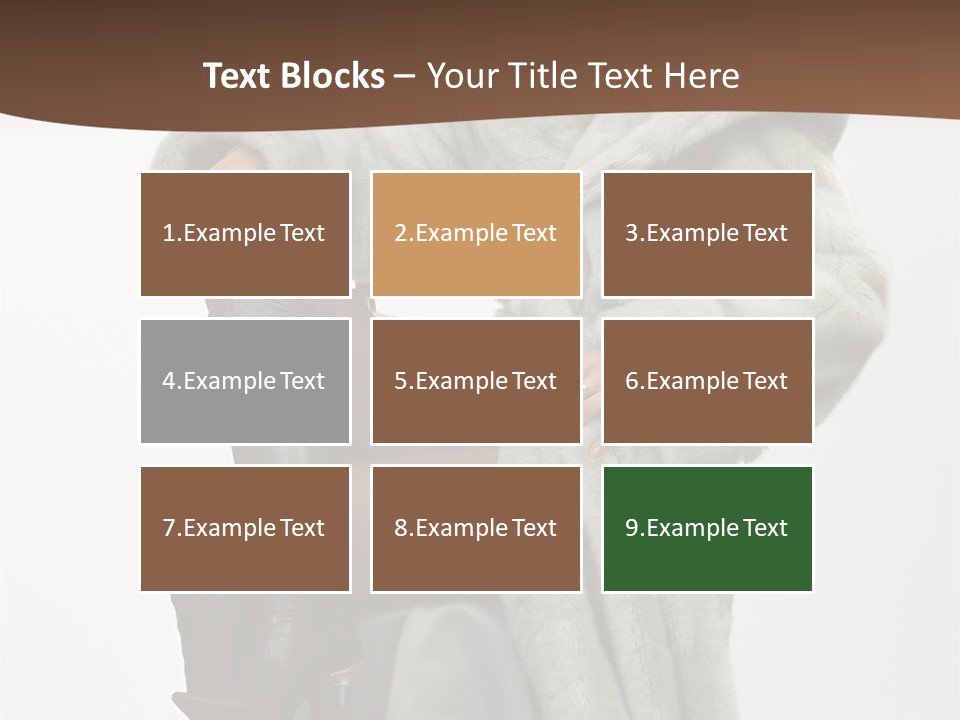 Beautiful Portrait Shoes PowerPoint Template