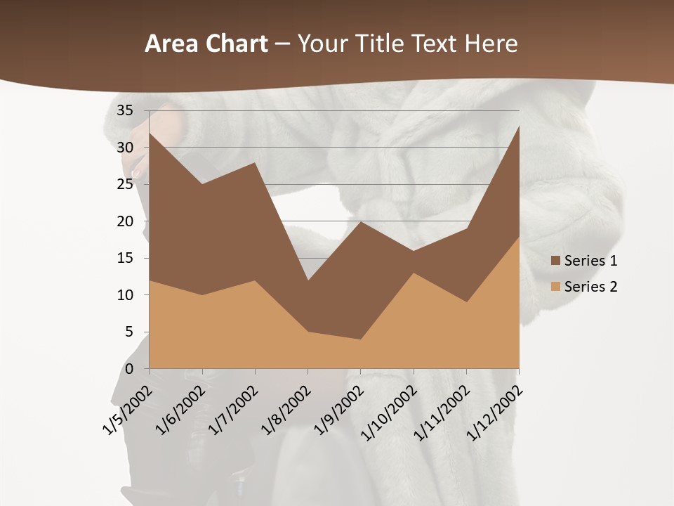 Beautiful Portrait Shoes PowerPoint Template