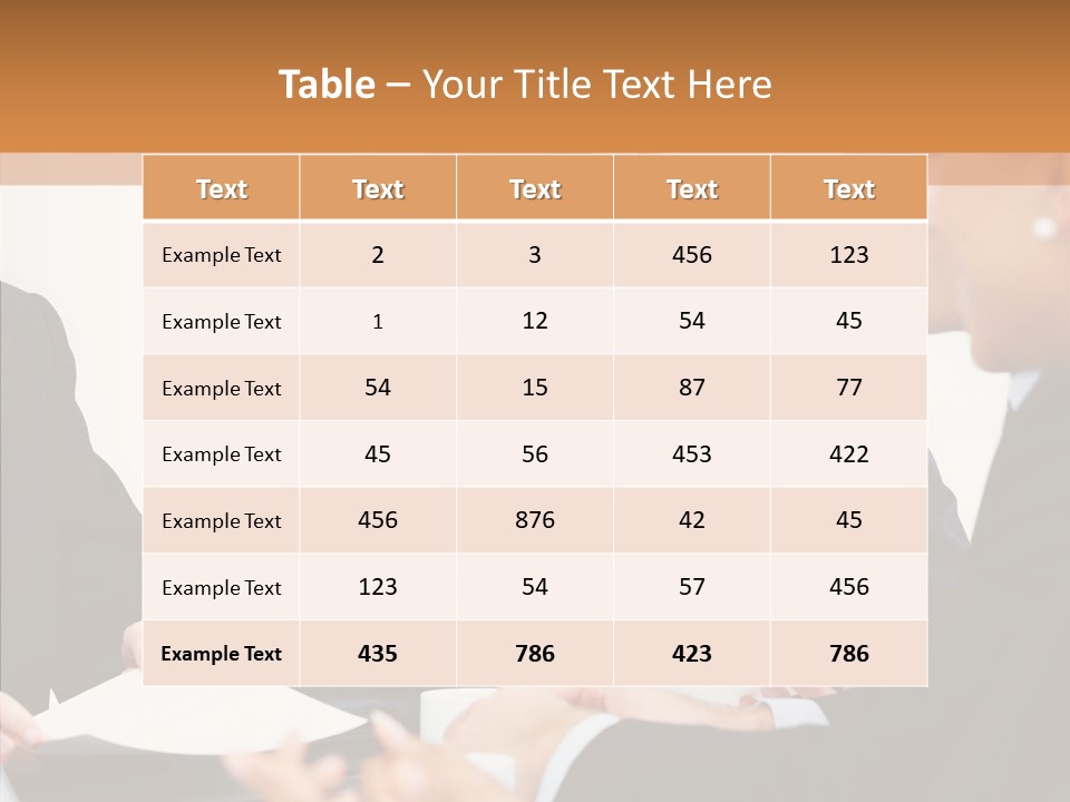 Bu Ine Profe Ional Boardroom PowerPoint Template