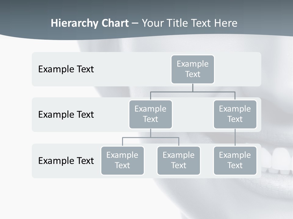 Management Human Li Ten PowerPoint Template